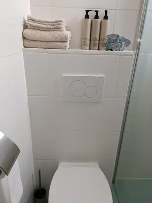 a bathroom with a toilet and towels on a shelf at Cottage at Sea in Noordwijk aan Zee