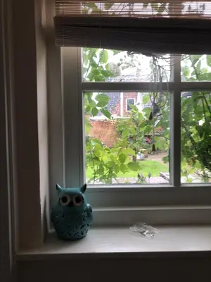 a blue owl figurine sitting on a window sill at Appartement in schuur in Twisk