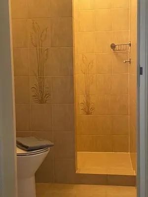 a bathroom with a shower with a toilet at Rozenobel apartment in Zandvoort
