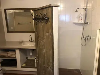 a bathroom with a wooden door to a sink and a shower at Appartement voor twee personen in Twisk