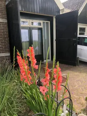 a bunch of red flowers in front of a house at Appartement voor twee personen in Twisk
