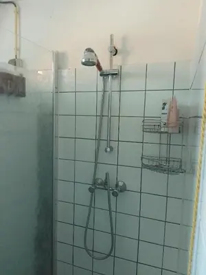 a shower with a shower head in a bathroom at Kraaipan B&B in Amsterdam