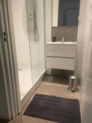 a bathroom with a sink and a shower and a rug at Guesthouse ML in Hillegom