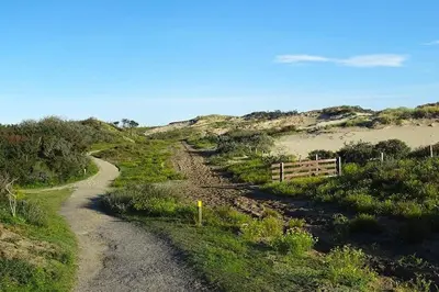 a dirt road next to a beach with a fence at Hosted by wendy Old city charming accommodation in Wassenaar