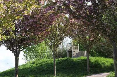 a group of trees with purple flowers on a hill at Safari Lodges XL in Nieuwe Wetering