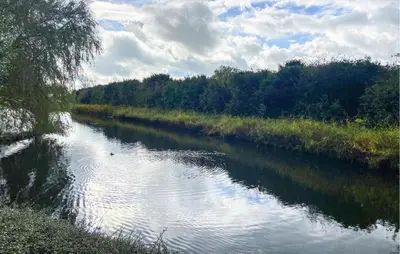 a river with a bird in the water at Pet Friendly Home In Opperdoes in Opperdoes