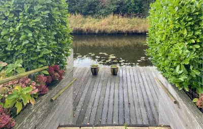 two potted plants on a wooden walkway next to a river at Pet Friendly Home In Opperdoes in Opperdoes