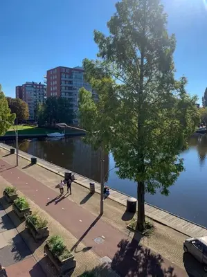 a tree on a sidewalk next to a body of water at My Apartment on the Water in Amsterdam