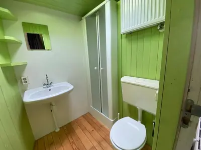 a green bathroom with a toilet and a sink at Design huisje vrij in het groen in IJsselstein