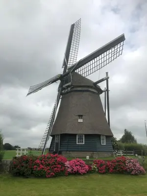 a windmill with flowers in front of it at Vakantiehuis de Creutz in Beverwijk