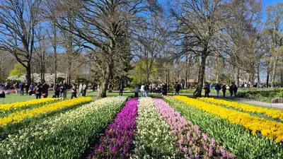people walking around a park with colorful flowers at Vakantiehuis de Creutz in Beverwijk