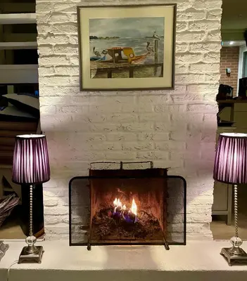a fireplace in a living room with two lamps at Huisje Bloemenzee in Noordwijkerhout