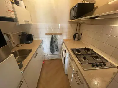 a small kitchen with a stove and a sink at Luxe appartement bij Zuidas met tuin en buitendouche in Amsterdam