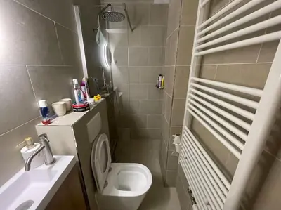 a small bathroom with a toilet and a sink at Luxe appartement bij Zuidas met tuin en buitendouche in Amsterdam