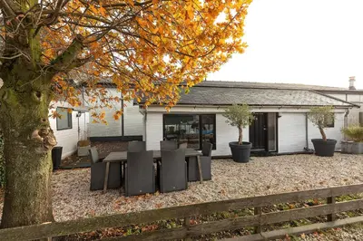 a patio with a table and chairs under a tree at Woonboot De Rietpieper in Loosdrecht