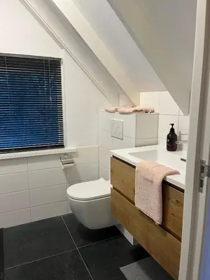 a white bathroom with a toilet and a sink at Parkzicht Zwanenburg in Zwanenburg