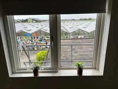 a window with two potted plants on a window sill at B&B Dol - Fijn in Benningbroek