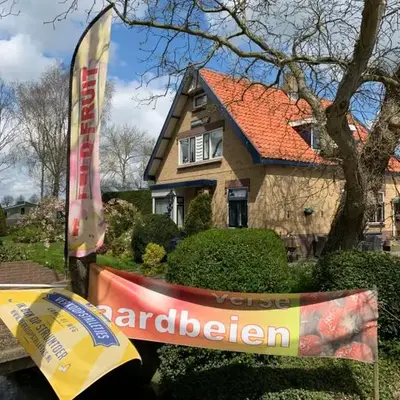B&B Dol - Fijn
