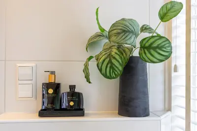 a plant in a black vase sitting on a shelf at Vakantiehuis De Zeeparel in Zandvoort