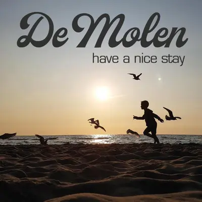 a man running on the beach with birds at Have a nice stay! - Ruim appartement de Molen in Noordwijk