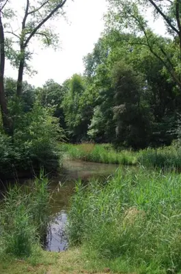 a river in the middle of a field with trees at Apartement with terras in Amsterdam Noord in Amsterdam