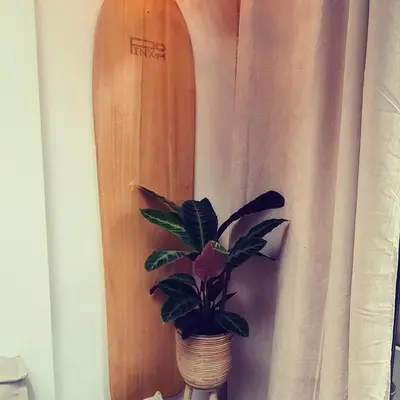 a plant in a pot next to a surfboard at BeachBreak Guesthouse in Noordwijk