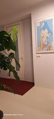 a room with a painting on the wall and a plant at gastenverblijf Bij de Dijk in Warmenhuizen