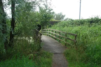 a wooden path through a field with a fence at Zaanse Rietveld Logies in Alphen aan den Rijn
