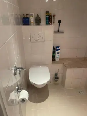 a white bathroom with a toilet and a sink at 1-2 P Room near Airport AMS freeparking in Roelofarendsveen