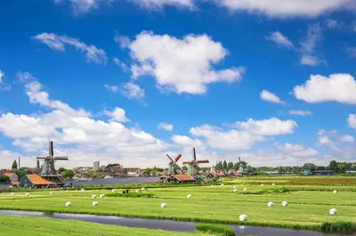 a field of grass with windmills in the background at City Farmer Farmyard Stays, Sleep Easy, Stay Rural, Explore Amsterdam in Amsterdam