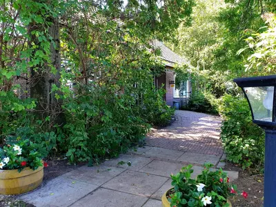 a garden with flowers and plants on a sidewalk at City Farmer Farmyard Stays, Sleep Easy, Stay Rural, Explore Amsterdam in Amsterdam