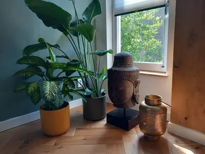 a room with plants and a statue on a wooden floor at Luxurious house close to the center of Amsterdam in Oostzaan