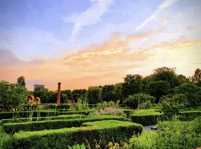a garden with bushes and a pond in the sunset at Stunning artist zen guest suite at heart of Amsterdam in Amsterdam