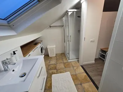 a bathroom with a sink and a shower at Studio Amnesia in Heerhugowaard