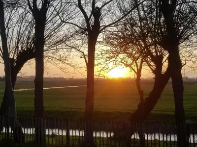 a sunset over a field with trees and a fence at Pretty holiday home in Burgerburg in Burgerbrug
