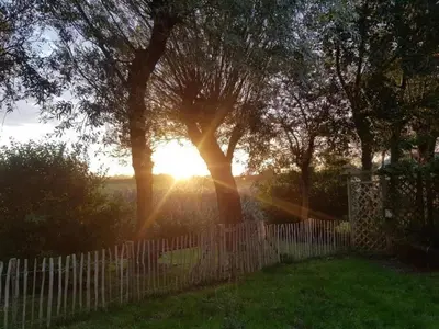 a fence in a yard with the sun behind a tree at Pretty holiday home in Burgerburg in Burgerbrug