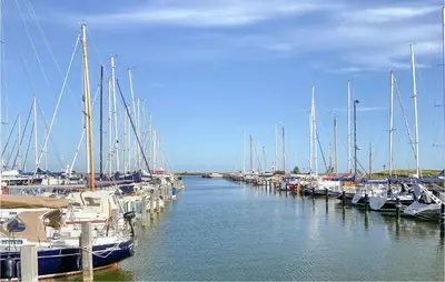 a bunch of boats are docked in a marina at Pet Friendly Home In Dirkshorn in Dirkshorn