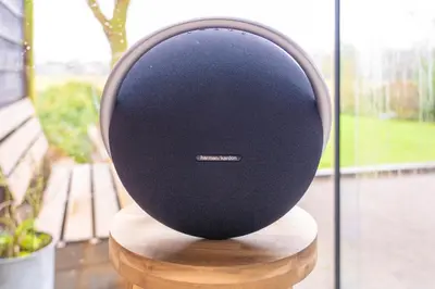 a black chair sitting on top of a wooden stand at B&B Wellness 'De Bourgondische Lelie' in Bunschoten