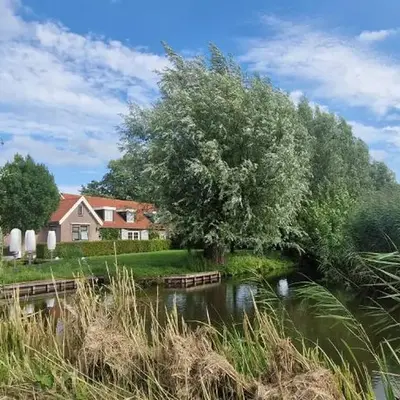De Gouwe Leeuw