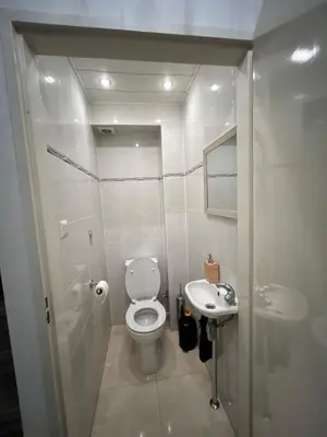 a white bathroom with a toilet and a sink at Deluxe Estate in Hoofddorp