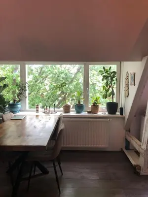 a dining room with a table and a window with potted plants at Cozy apartment with large roof terrace in Amsterdam