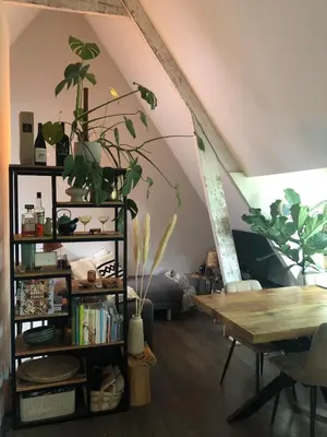 a living room with a table and some plants at Cozy apartment with large roof terrace in Amsterdam