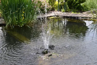 a fountain in the middle of a pond at Guest House Aan de Hollandse IJssel in Montfoort