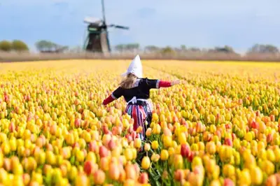 a little girl in a field of tulips at Guesthouse Voorhout in Voorhout