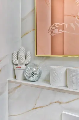 a shelf with towels and cactuses in a bathroom at Pats garden room with mini cinema, projector in Alkmaar