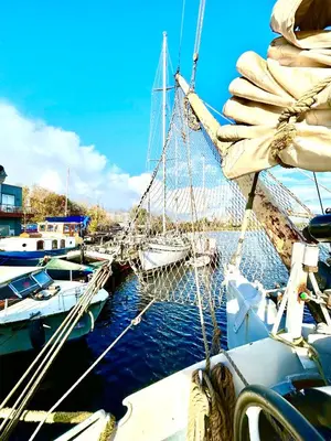 a group of boats docked in a harbor at Ray's crew in Weesp