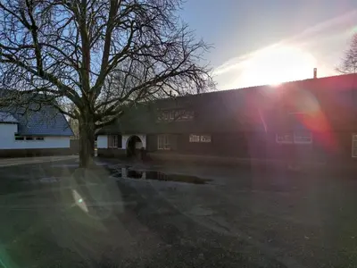 a tree in front of a building with the sun shining at Privé huisje op unieke groene plek in Den Dolder