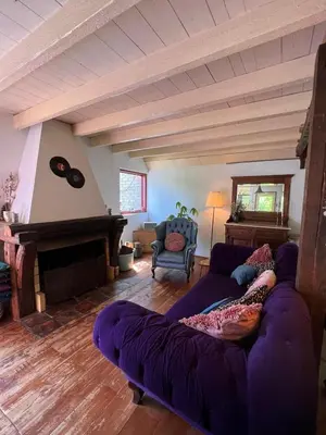 a living room with a purple couch and a fireplace at Privé huisje op unieke groene plek in Den Dolder
