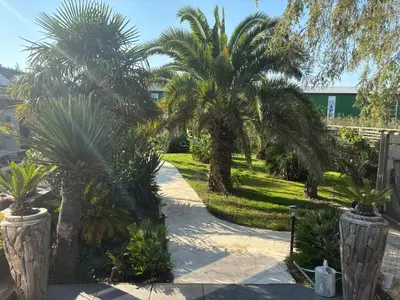 a garden with palm trees and a sidewalk at Unique Lodge 22 min from Amsterdam CS in Westzaan