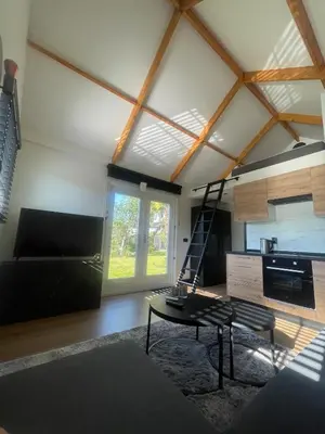 a living room with a ladder and a table at Unique Lodge 22 min from Amsterdam CS in Westzaan